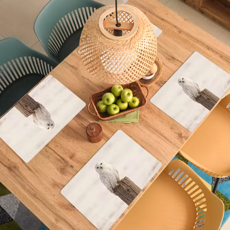 Sneeuwuil - Paal - Winter - Portret - Majestueus Placemat vinyl groot -zzsfeer5_Kitchenyeah-website