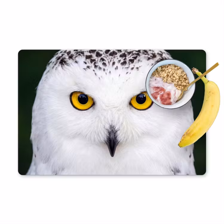 Sneeuwuil - Portret - Geel Placemat vinyl groot -zzzproduct_Kitchenyeah-website