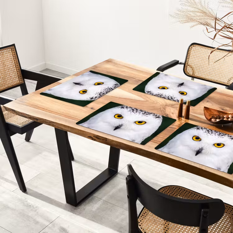 Sneeuwuil - Portret - Geel Placemat vinyl groot -zzsfeer4_Kitchenyeah-website