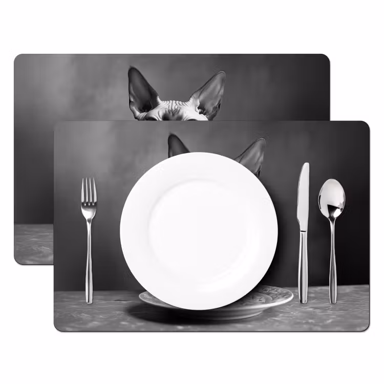 Sphynx - Kat - Dieren - Humor - Spaghetti - Zwart Wit Placemat vinyl groot -zzsfeer2_Kitchenyeah-website