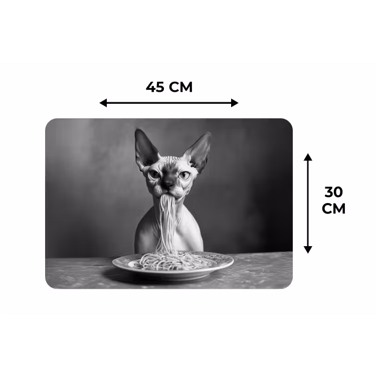 Sphynx - Kat - Dieren - Humor - Spaghetti - Zwart Wit Placemat vinyl groot -specs