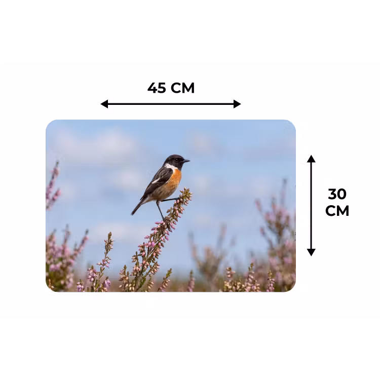 Roodborsttapuit - Heide - Paars - Natuur - Sfeervol Placemat vinyl groot -specs