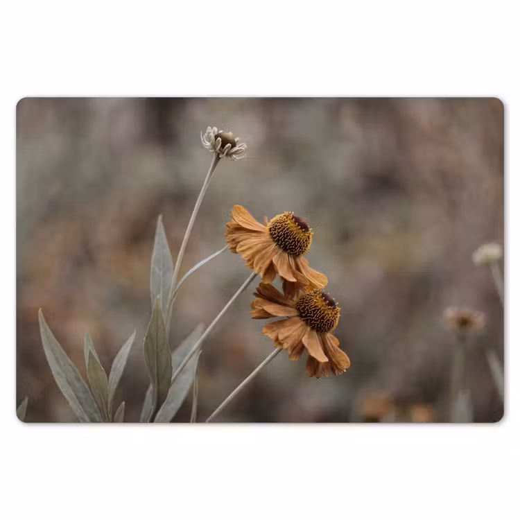 Zonnehoed - Droogbloemen - Geel - Warm Placemat vinyl groot -zzsfeer1_Kitchenyeah-website