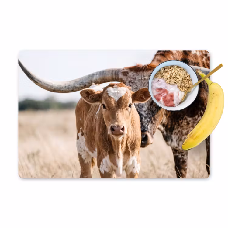 Texas Longhorn - Kalf - Weide - Dieren Placemat vinyl groot -zzzproduct_Kitchenyeah-website
