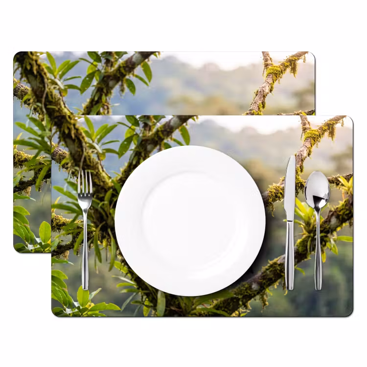 Toekan - Jungle - Natuur - Kleurrijk Placemat vinyl groot -zzsfeer2_Kitchenyeah-website
