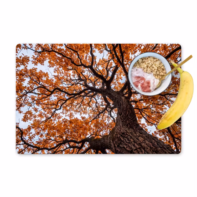 Boom - Bladerdak - Herfst - Oranje - Sfeervol Placemat vinyl groot -zzzproduct_Kitchenyeah-website