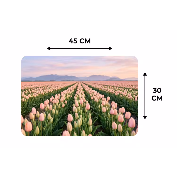 Tulpen - Landschap - Roze Placemat vinyl groot -specs