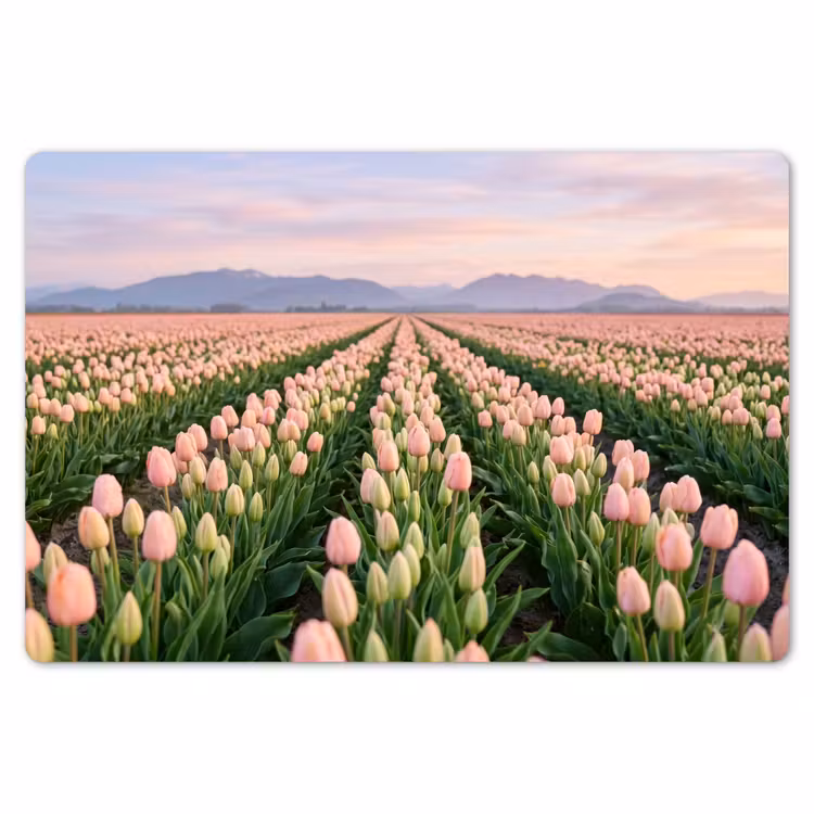 Tulpen - Landschap - Roze Placemat vinyl groot -zzsfeer1_Kitchenyeah-website