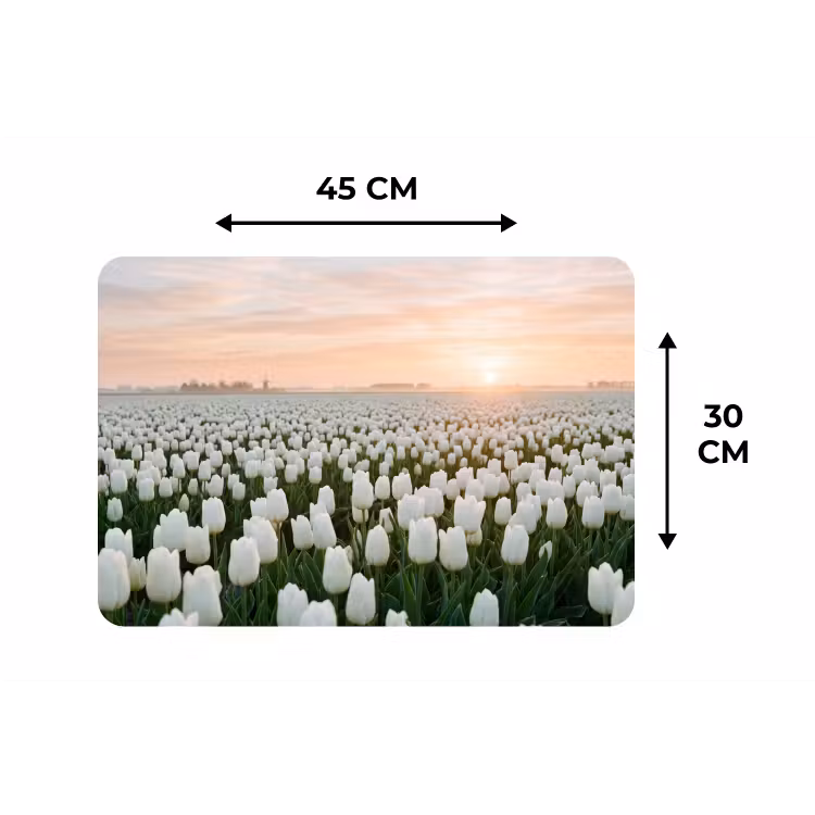Tulpen - Landschap - Wit Placemat vinyl groot -specs