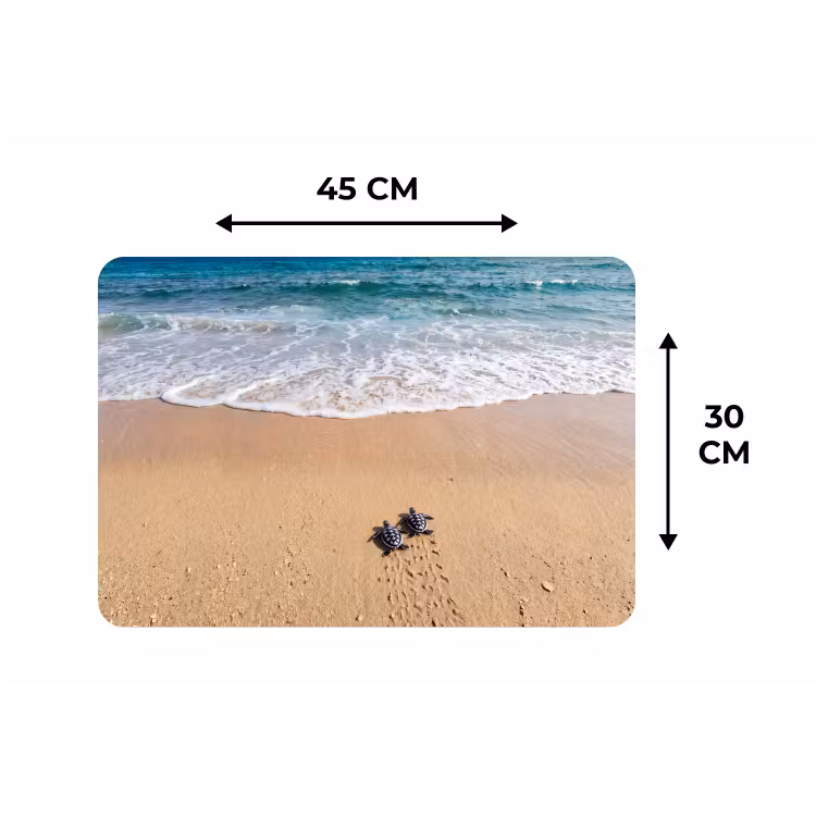 Schildpad - Jong - Strand - Oceaan - Blauw Placemat vinyl groot -specs