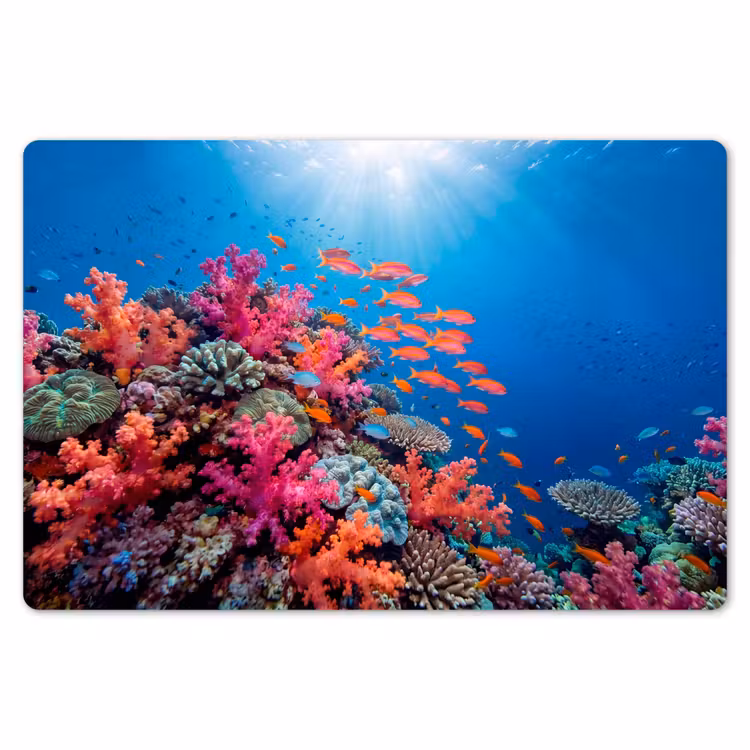 Onderwater - Koraalrif - Vissen - Oceaan - Natuur Placemat vinyl groot -zzsfeer1_Kitchenyeah-website