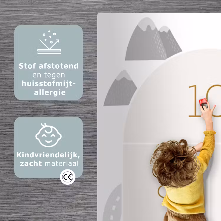 Hinkelpad - Auto - Weg - Kinderen - Rivier Speelmat middel -sfeer1