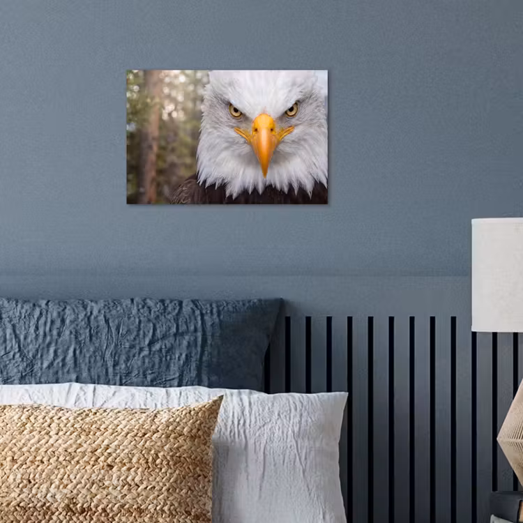 Amerikaans - Zeearend - Portret - Geel poster papier klein -sfeer2