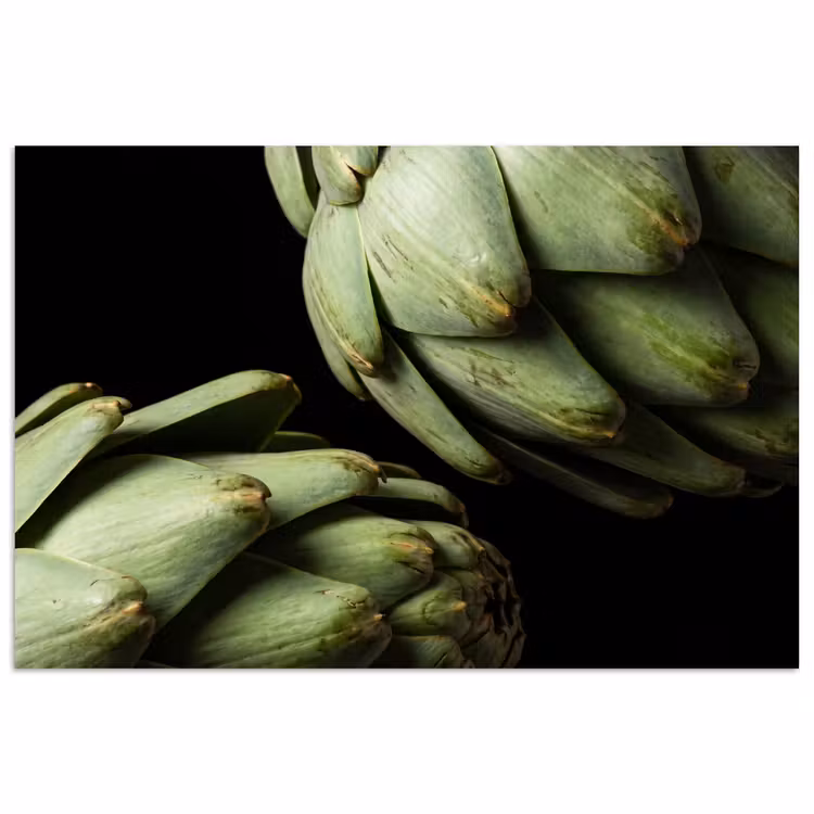 Poster - Artichoke - Green - Food - Artisjok - Groen - Eten poster papier klein