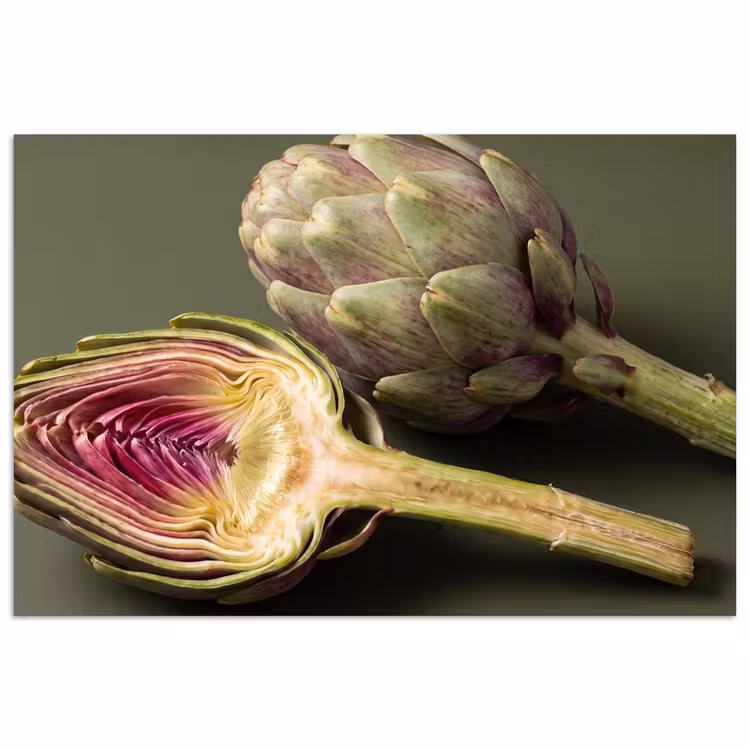 Poster - Artichoke - Purple - Food - Artisjok - Paars - Voedsel poster papier klein