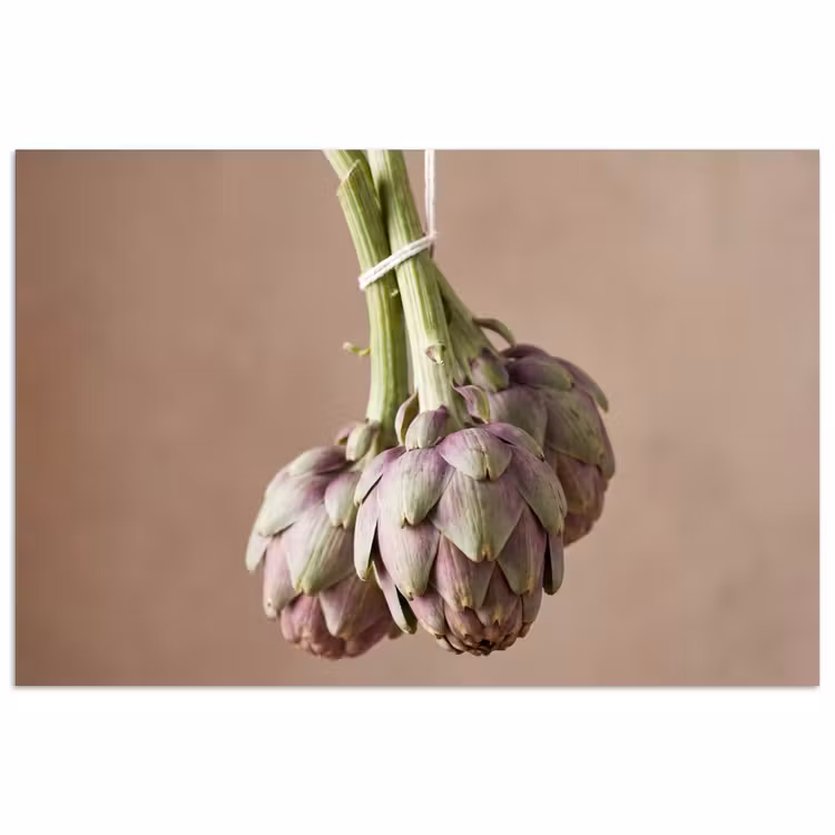 Poster - Artichokes - Hanging - Vegetables - Artisjokken - Hangend - Groenten poster papier klein