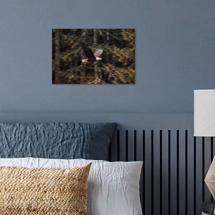 Zeearend - Vliegen - Bos - Natuur poster papier klein -sfeer2
