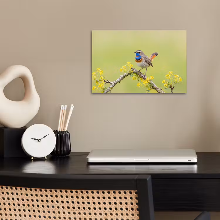 Vogel - Tak - Natuur - Kleurrijk poster papier klein -sfeer1