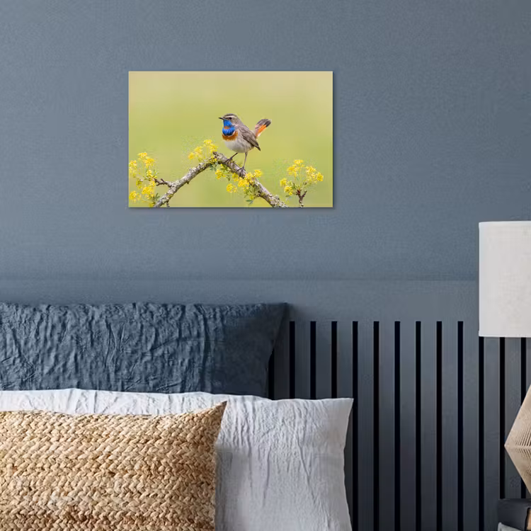 Vogel - Tak - Natuur - Kleurrijk poster papier klein -sfeer2