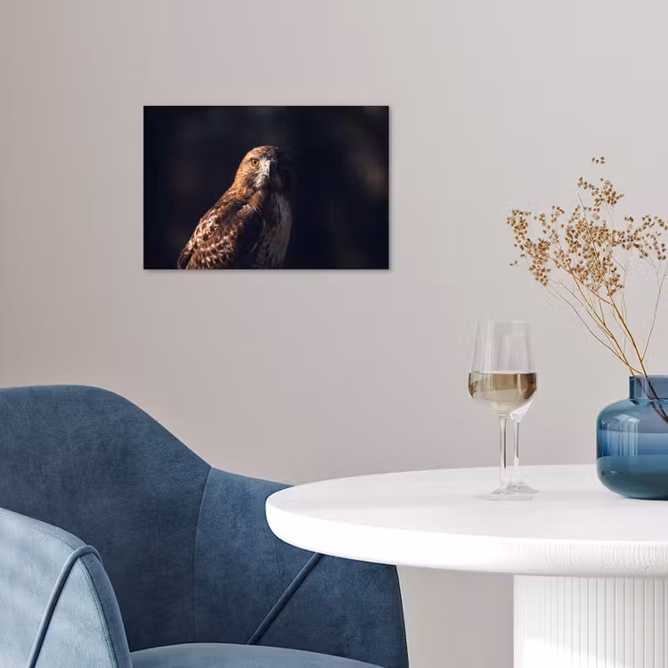 Roofvogel - Buizerd - Bruin poster papier klein -sfeer3