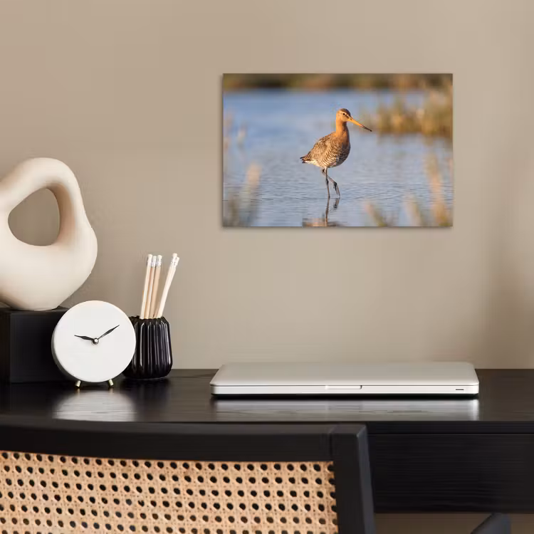 Vogel - Steltloper - Water - Natuur poster papier klein -sfeer1