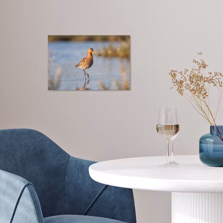 Vogel - Steltloper - Water - Natuur poster papier klein -sfeer3