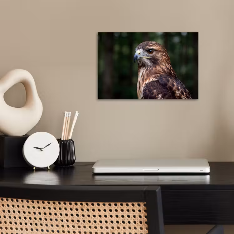Buizerd - Roofvogel - Natuur - Bruin poster papier klein -sfeer1