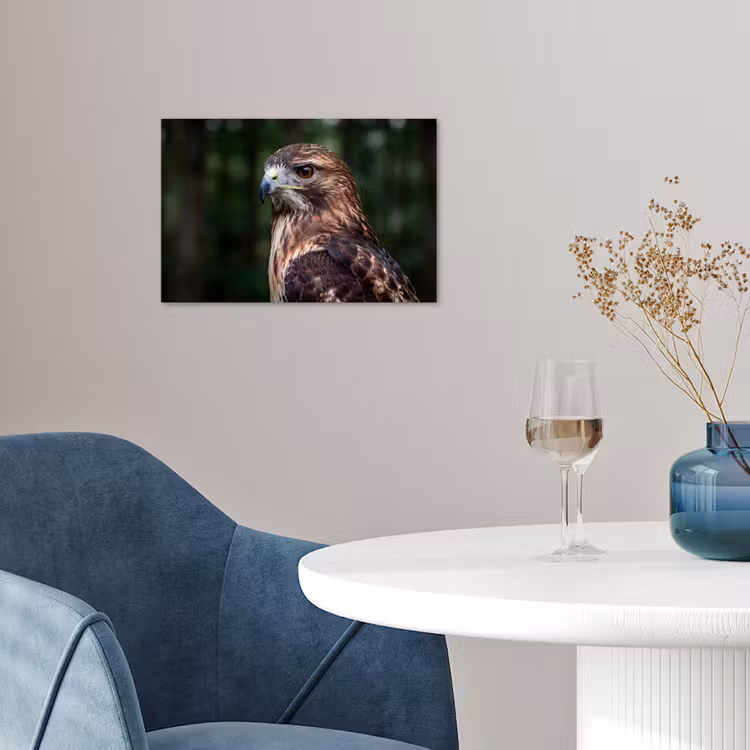 Buizerd - Roofvogel - Natuur - Bruin poster papier klein -sfeer3