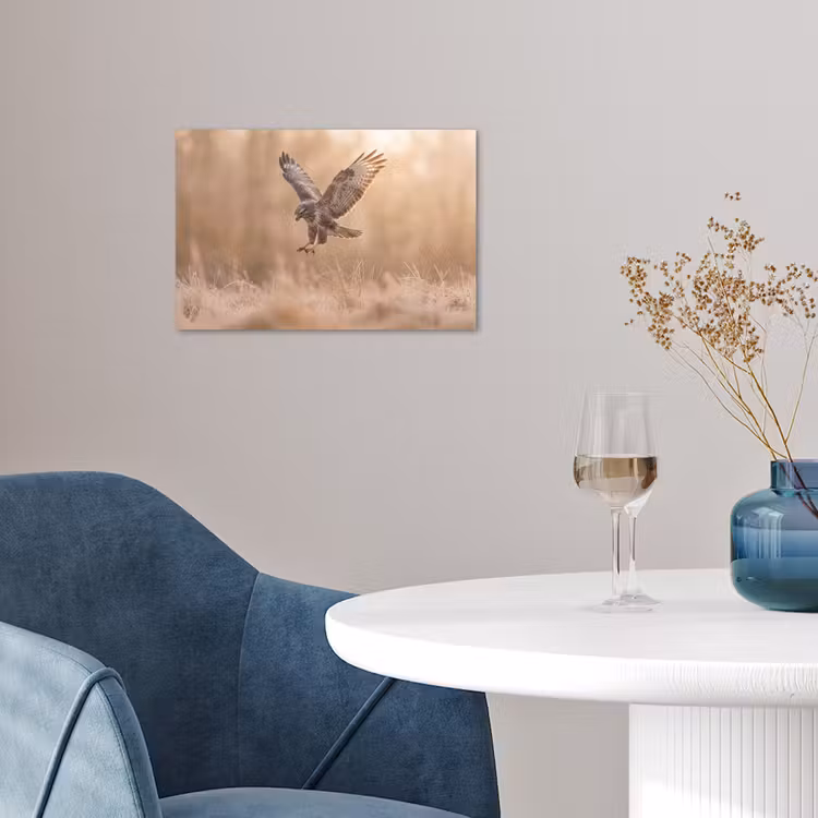 Buizerd - Roofvogel - Natuur - Bruin poster papier klein -sfeer3