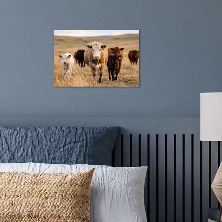 Runderen - Kudde - Landschap - Weide - Rustig poster papier klein -sfeer2