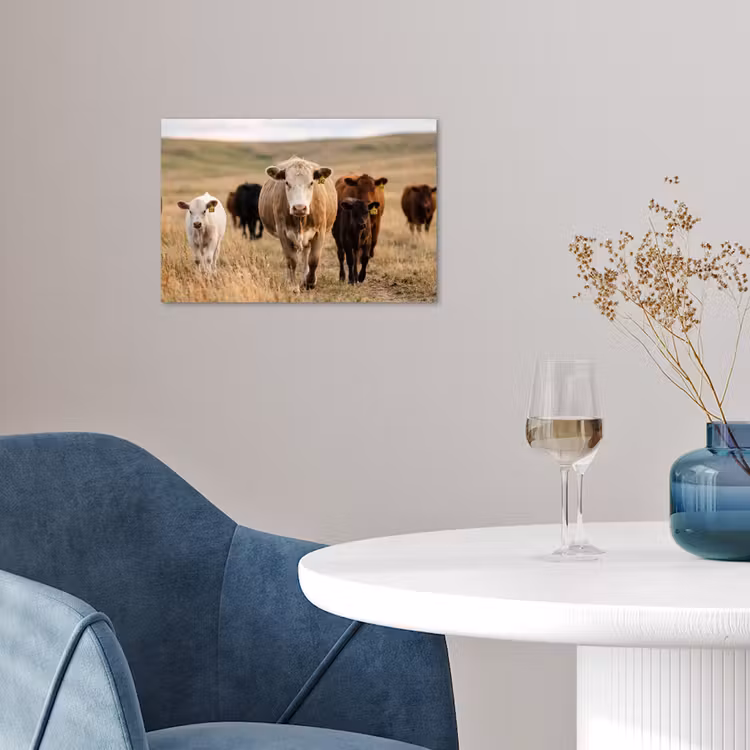 Runderen - Kudde - Landschap - Weide - Rustig poster papier klein -sfeer3
