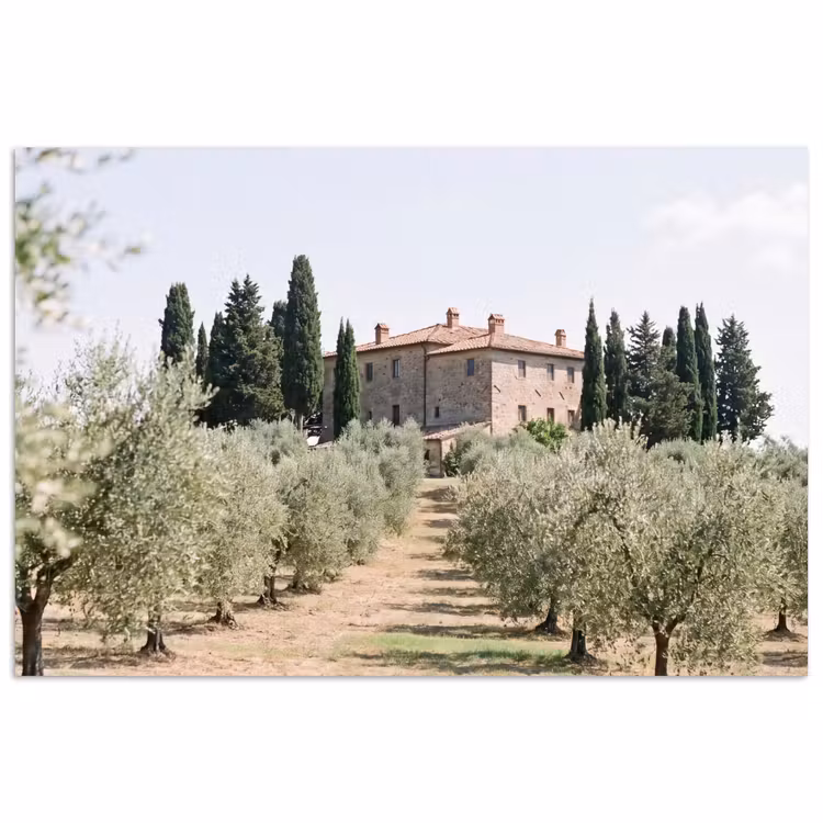 Poster - Country house - olive tree - orchard - Landhuis - olijfboom - gaard poster papier klein
