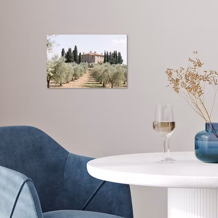 Poster - Country house - olive tree - orchard - Landhuis - olijfboom - gaard poster papier klein