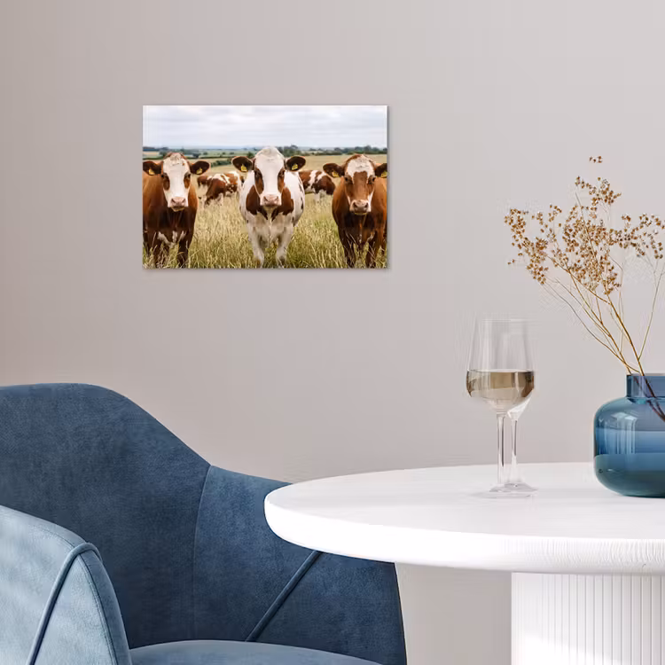Koeien - Portret - Weide - Boerderij - Nieuwsgierig poster papier klein -sfeer3