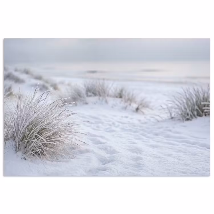 Duinen - Sneeuw - Strand - Winter - Serene poster papier klein -3d