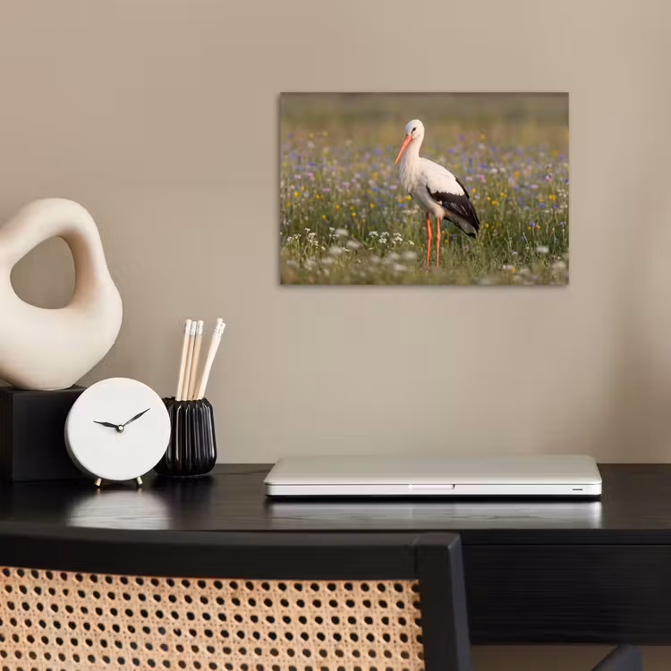 Ooienvaar - Bloemen - Weide - Kleurrijk poster papier klein -sfeer1