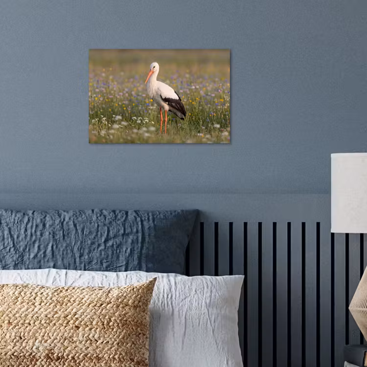 Ooienvaar - Bloemen - Weide - Kleurrijk poster papier klein -sfeer2