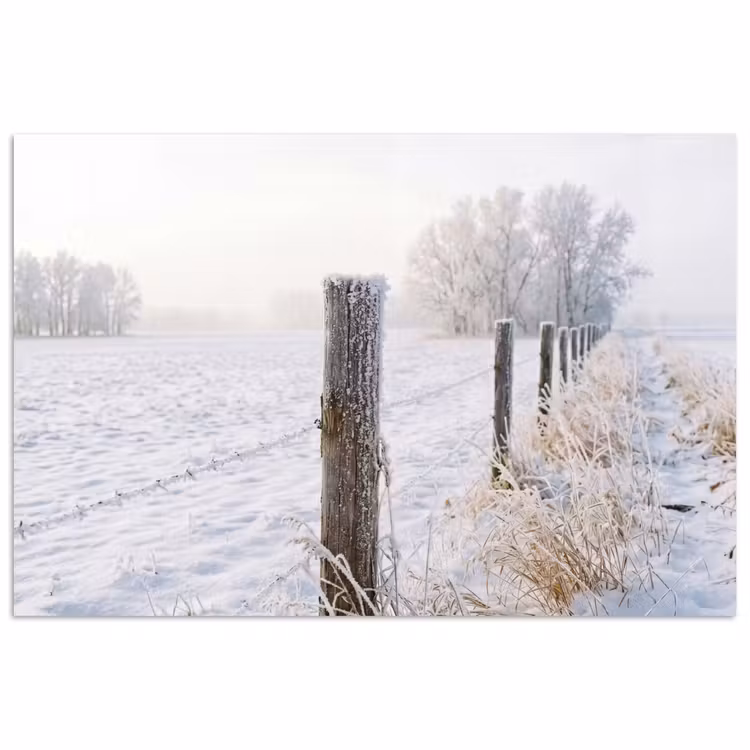 Hek - Sneeuw - Mist - Platteland - Nostalgisch poster papier klein -3d