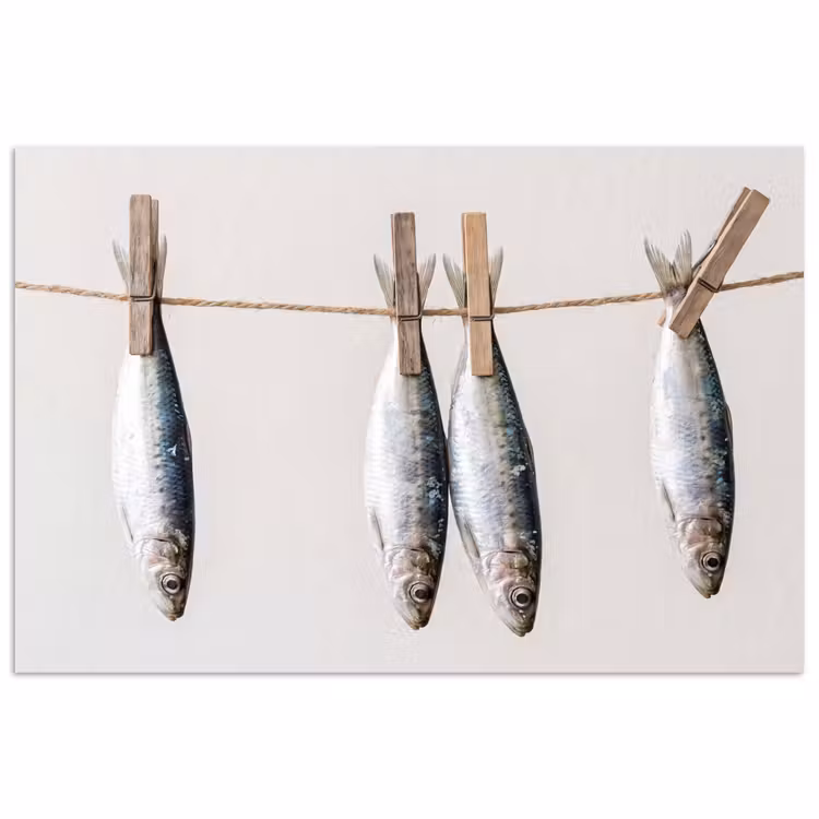 Poster - Fish - Hanging - Food - Vis - Hangend - Eten poster papier klein