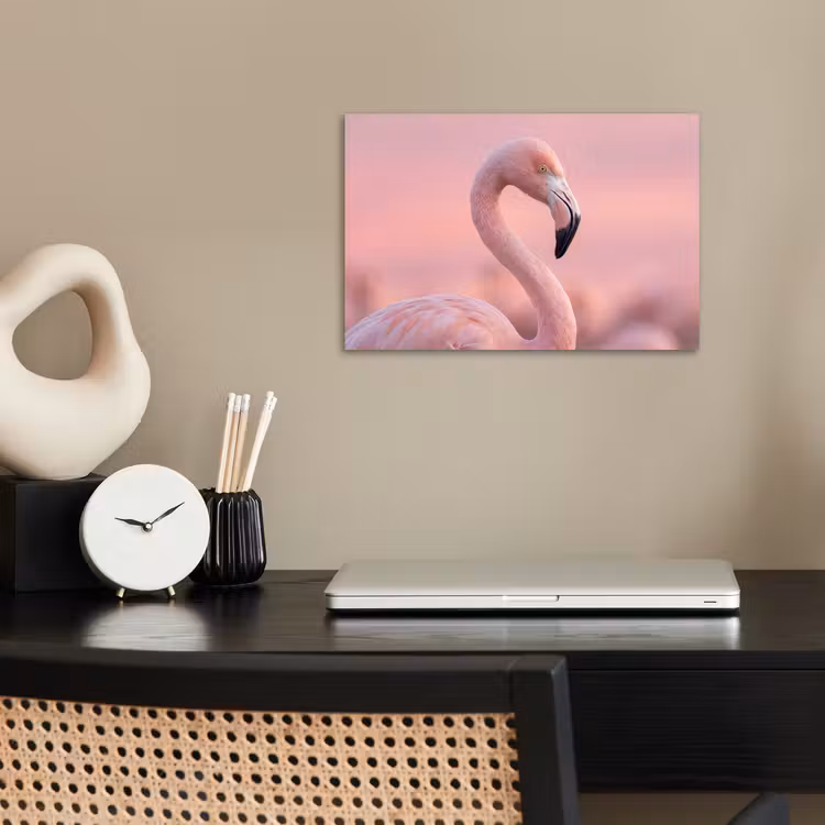 Flamingo - Portret - Roze poster papier klein -sfeer1