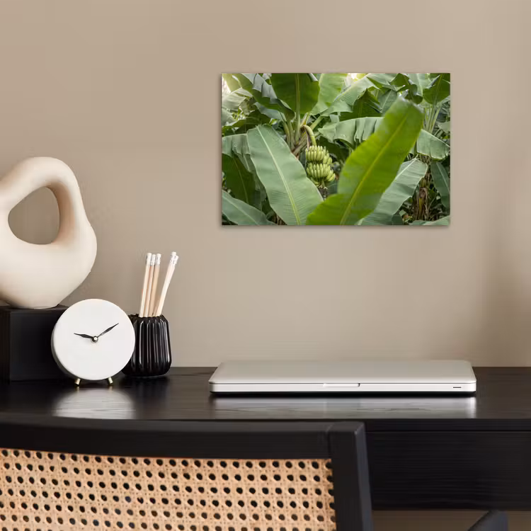 Eten - Bananen - Plantage - Groen poster papier klein -sfeer1