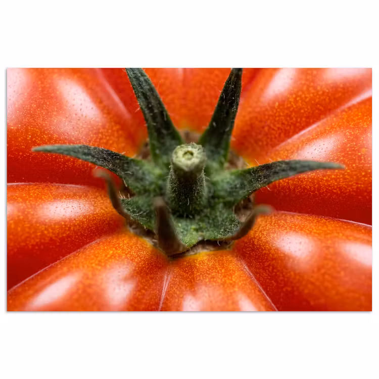 Poster - Food - Tomato - Red - Eten - Tomaat - Rood poster papier klein