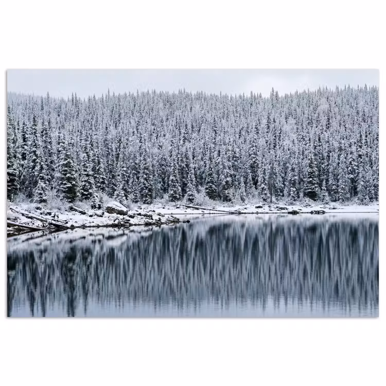 Bos - Reflectie - Meer - Winter - Serene poster papier klein -3d