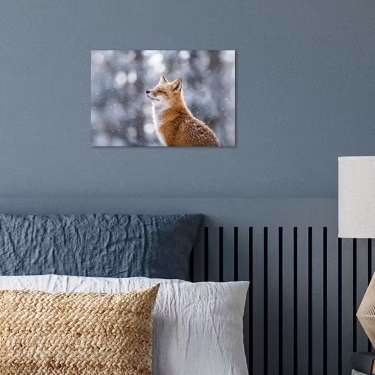Vos - Sneeuwval - Portret - Winter - Sfeervol poster papier klein -sfeer2