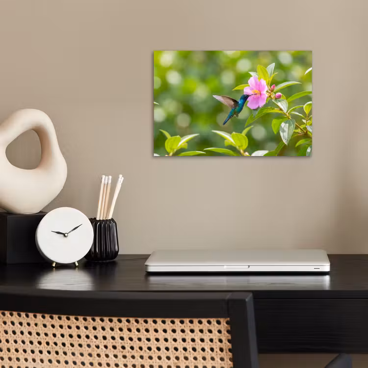 Kolibrie - Bloem - Natuur - Groen poster papier klein -sfeer1