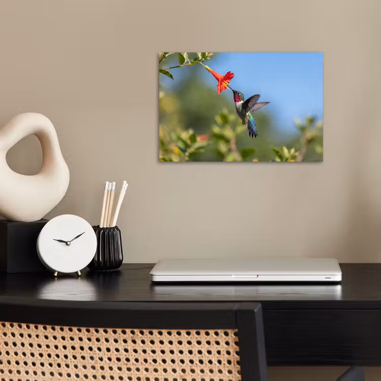 Kolibrie - Bloem - Natuur - Groen poster papier klein -sfeer1