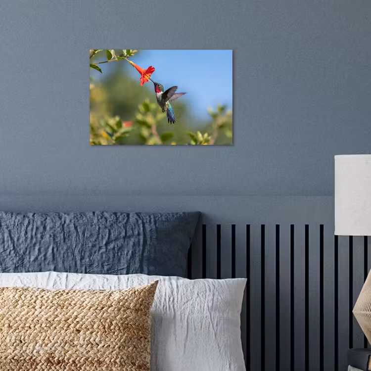 Kolibrie - Bloem - Natuur - Groen poster papier klein -sfeer2
