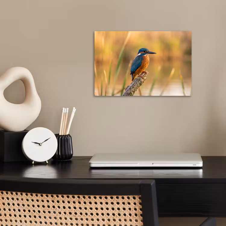 IJsvogel - Tak - Water - Kleurrijk - Levendig poster papier klein -sfeer1