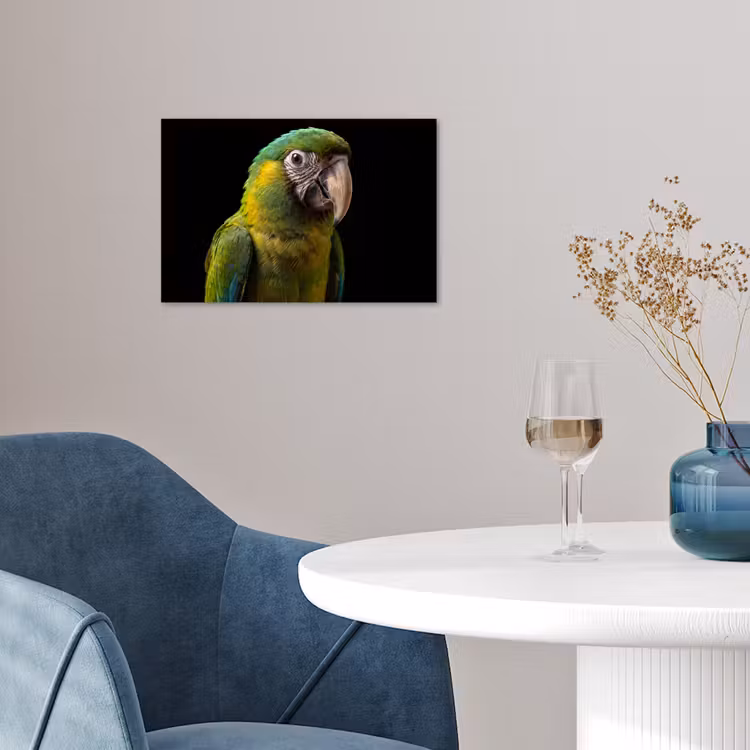 Ara - Portret - Groen poster papier klein -sfeer3
