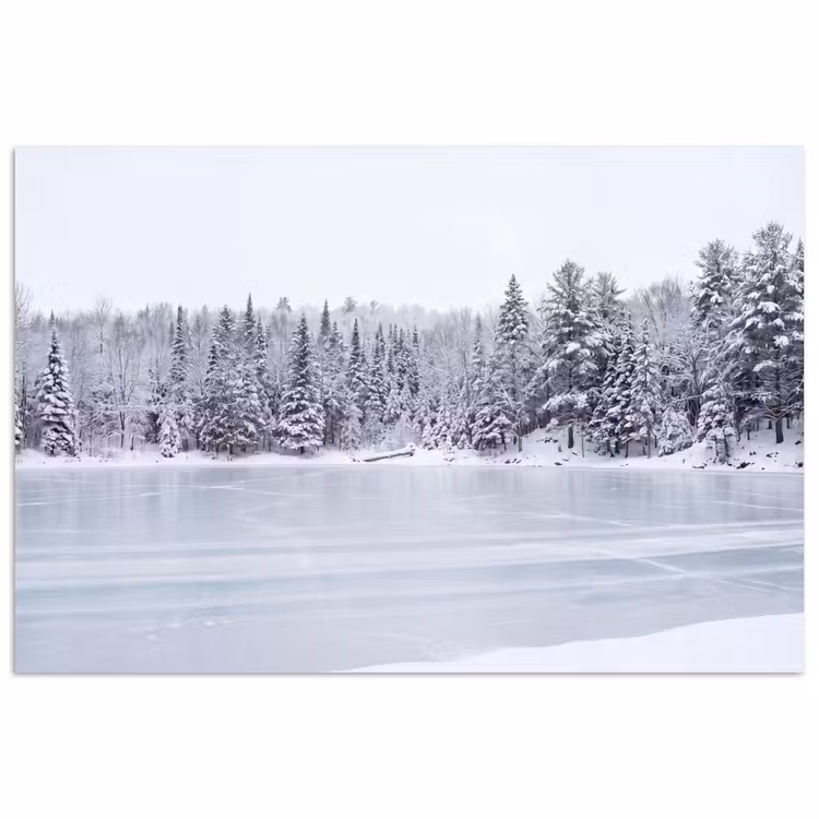 Meer - Dennen - IJs - Winter - Rustgevend poster papier klein -3d